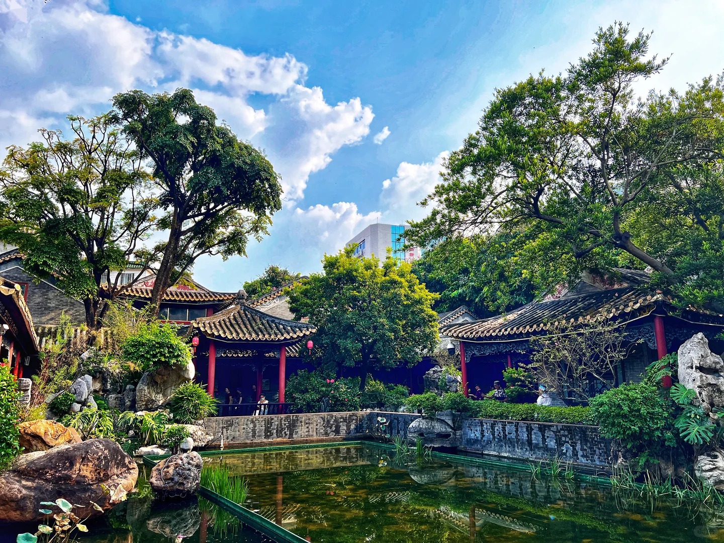 登小蠻腰豪歎下午茶，暢遊廣東四大名園【清暉園】（包門票）尋味順德美食【順德古法蒸魚頭宴】【原只椰皇燉湯+堂做順德火焰醉鵝宴】美食2天團