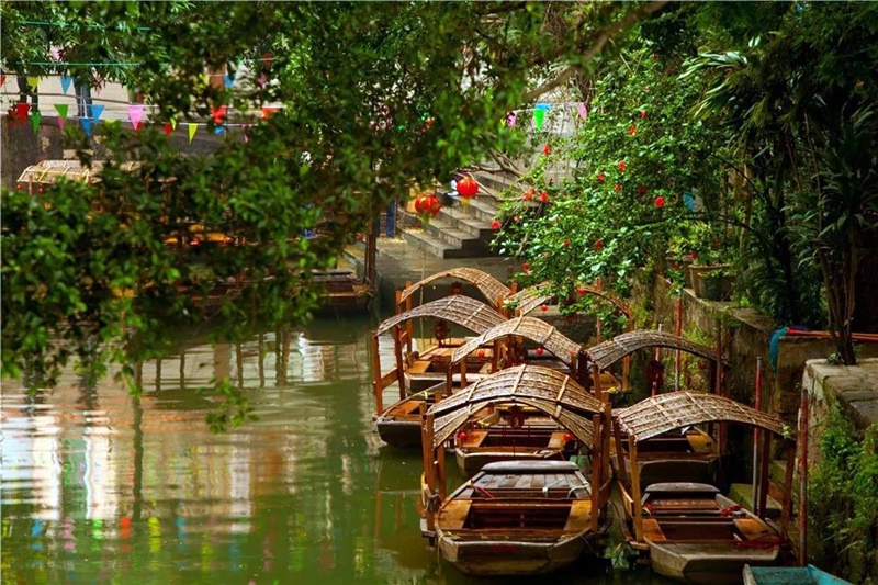 金牌厨神甄選美食 順德2天團
