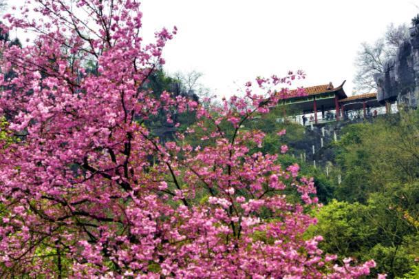 僅辦一團 一年一度民族傳統河燈節 桂林湖南5天團