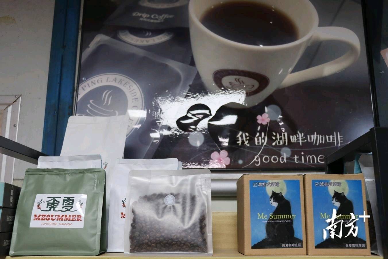 【萬豪洲際雙五星】歎環球海鮮自助晚餐、異域風情大唐不夜城《歎宮廷歌舞禦品宴》、打卡粵東著名的“黃金海岸”、【廣東第一咖啡園】汕尾惠州純玩3天團