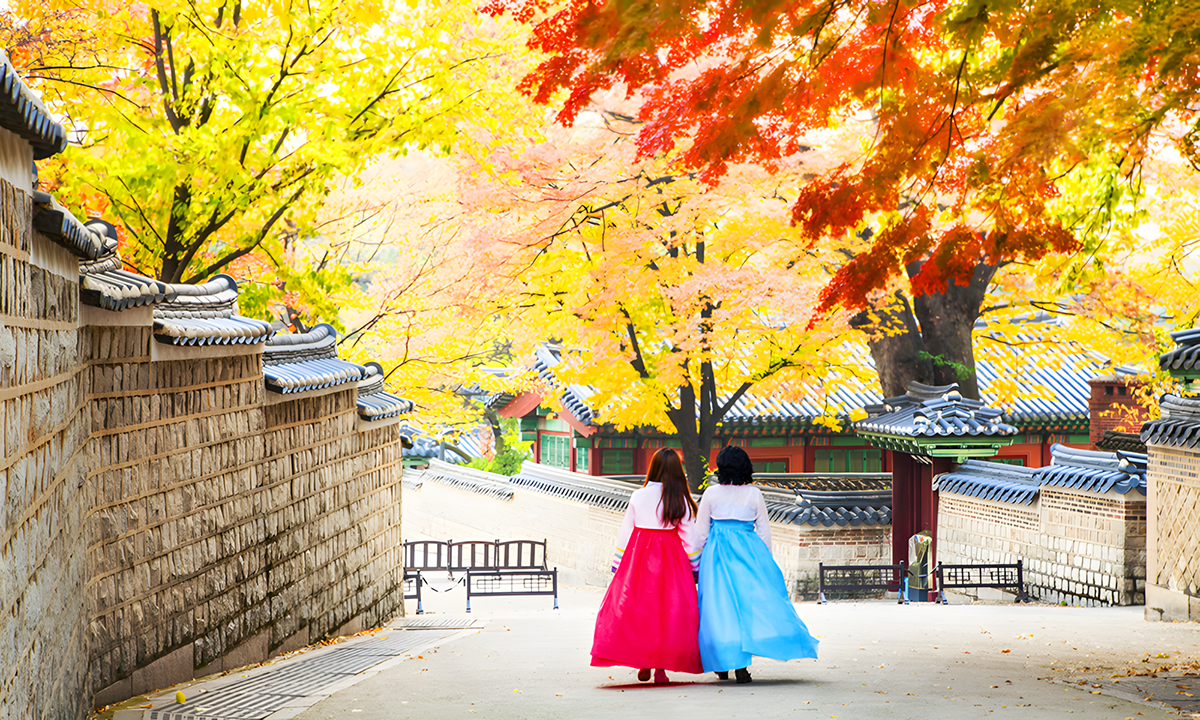 春日花見首爾 體驗藝術長廊「極光道」首爾3天團