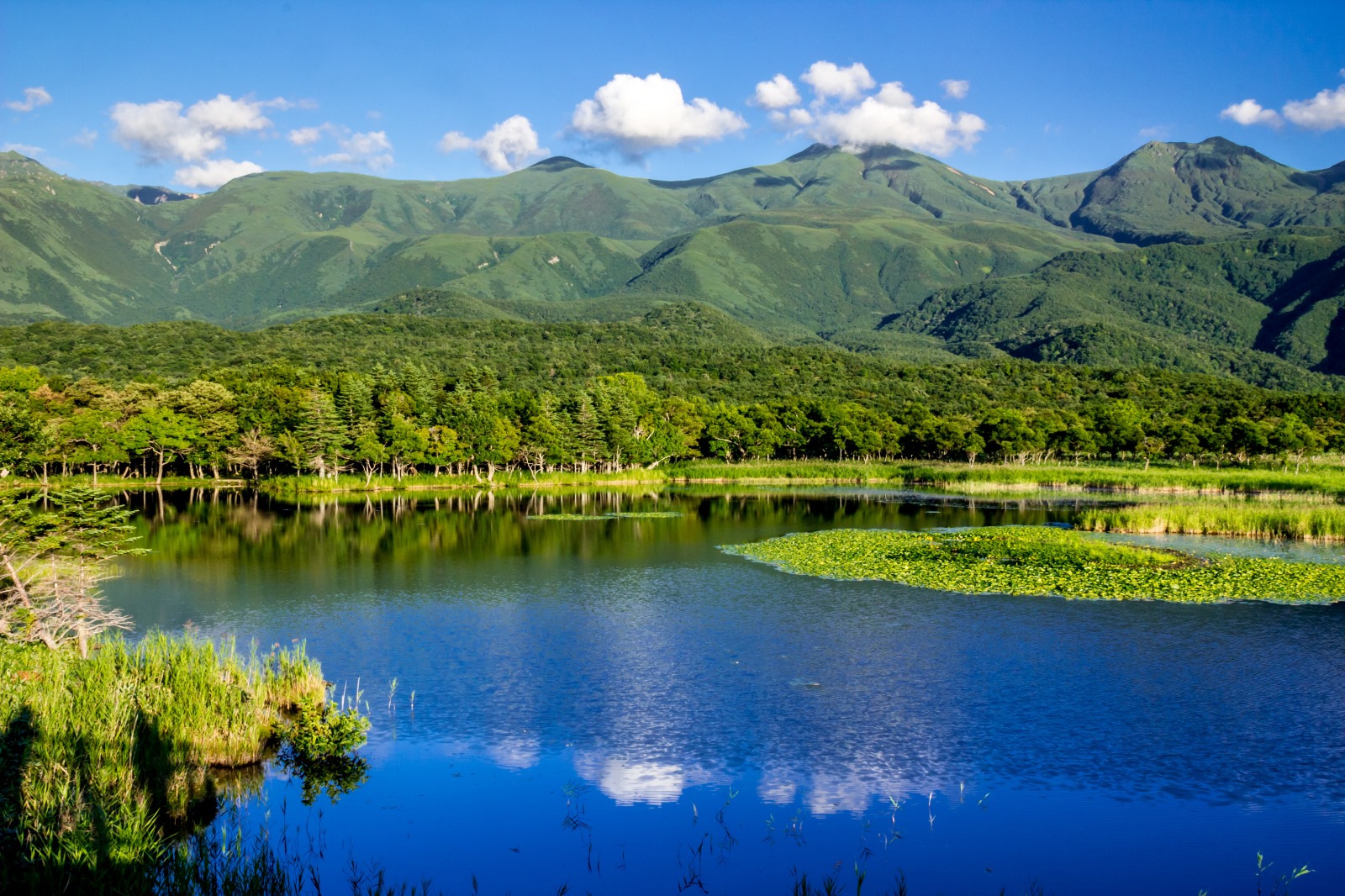 北海道【知床、網走、層雲峽】溫泉美景6天團