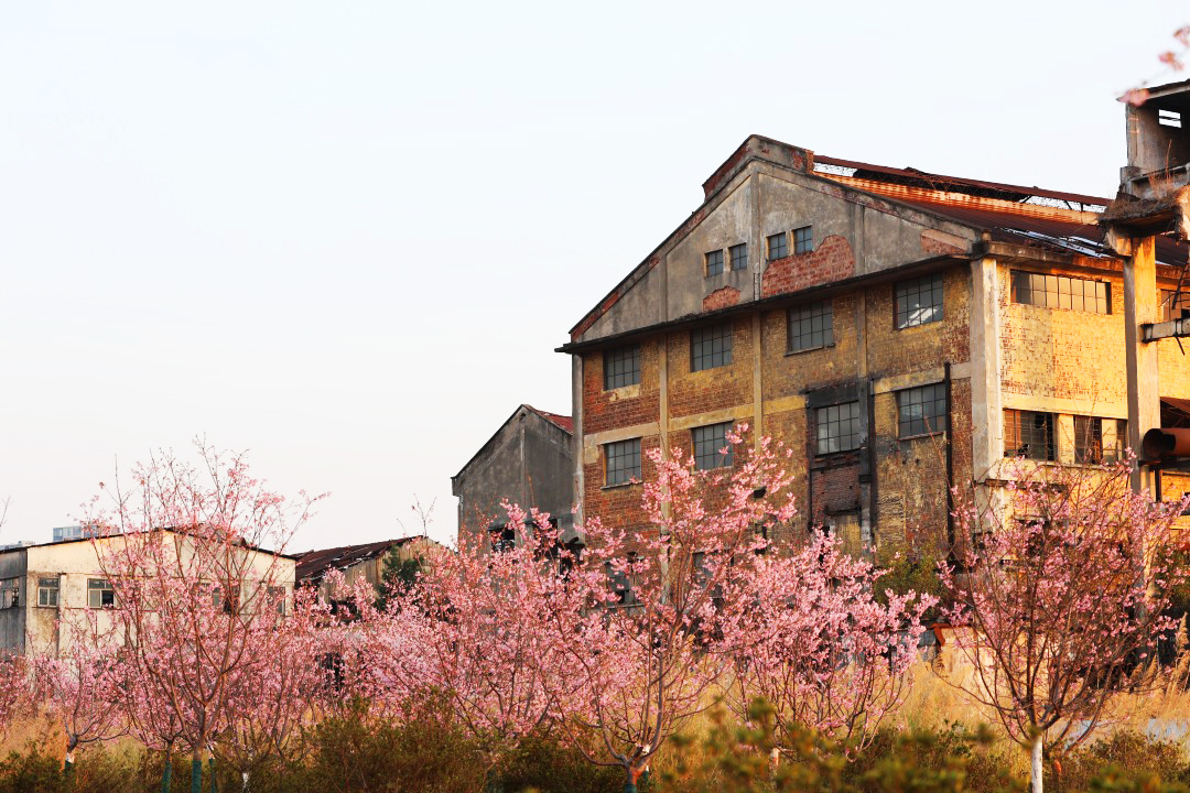 【母親節專場】感恩母親，感恩母愛，不喧嘩，自有聲，歲月如歌，共赴愛的盛宴  歎【五滋六味濃湯翅花膠雞宴】【招牌脆皮雞+特色簸箕魚宴】重本包【大型嶺南韻味Show·廣東宋城千古情】 純玩 2天團