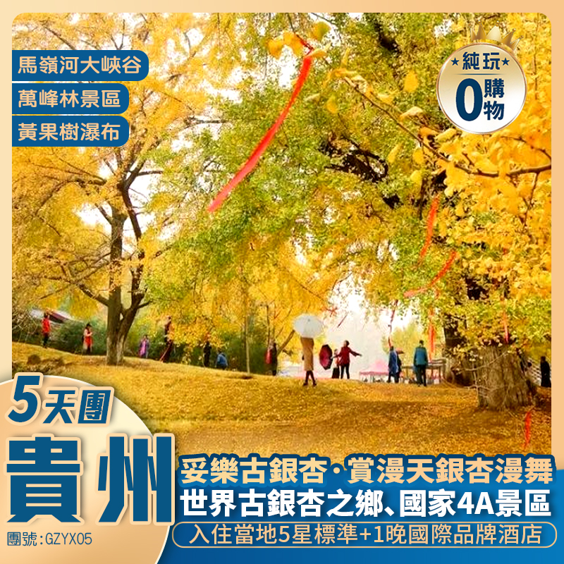 金秋貴州·【世界古銀杏之鄉·妥樂古銀杏】+地球上最美麗的疤痕·馬嶺河大峽谷+亞洲第一瀑·黃果樹瀑布+萬峰林景區+青岩古鎮+西九龍高鐵往返純玩5天團