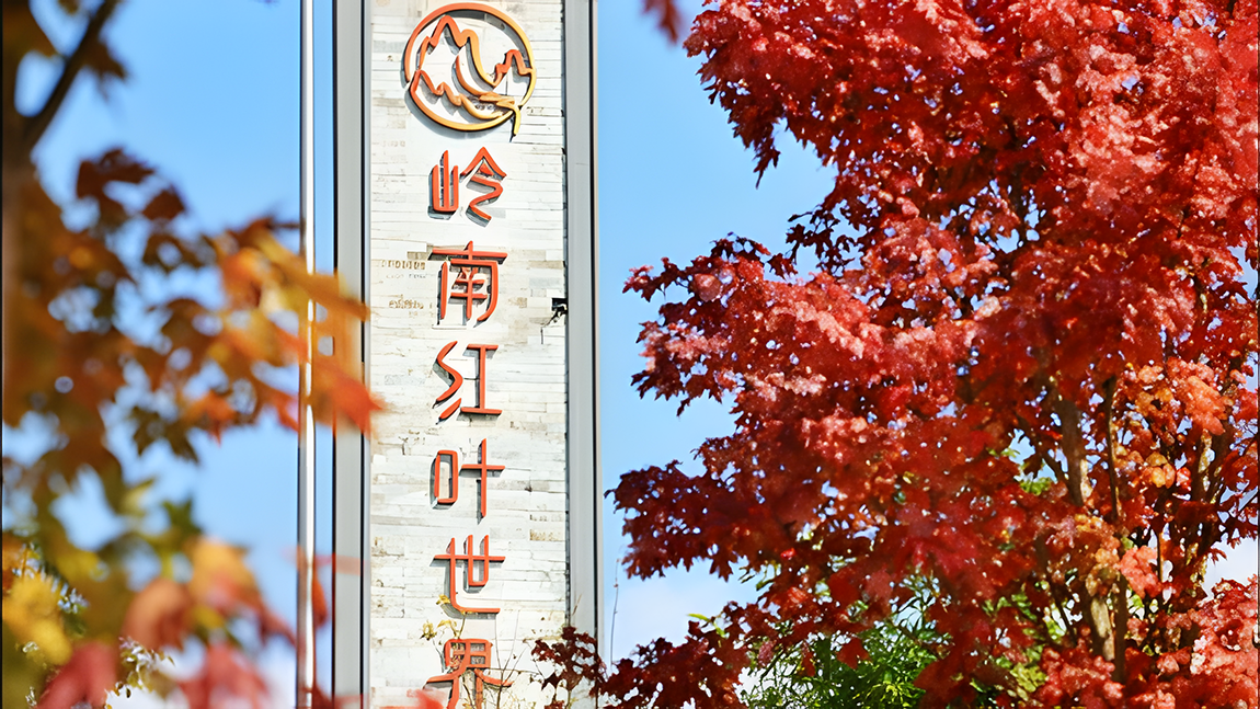 新豐紅葉世界看雲海紅楓，打卡網紅天空之鏡，雙國際溫泉酒店奢享體驗，豪華自助晚餐三天團