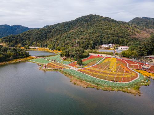 從化石門森林公園賞紅葉，壹泉灣溫泉酒店三天團