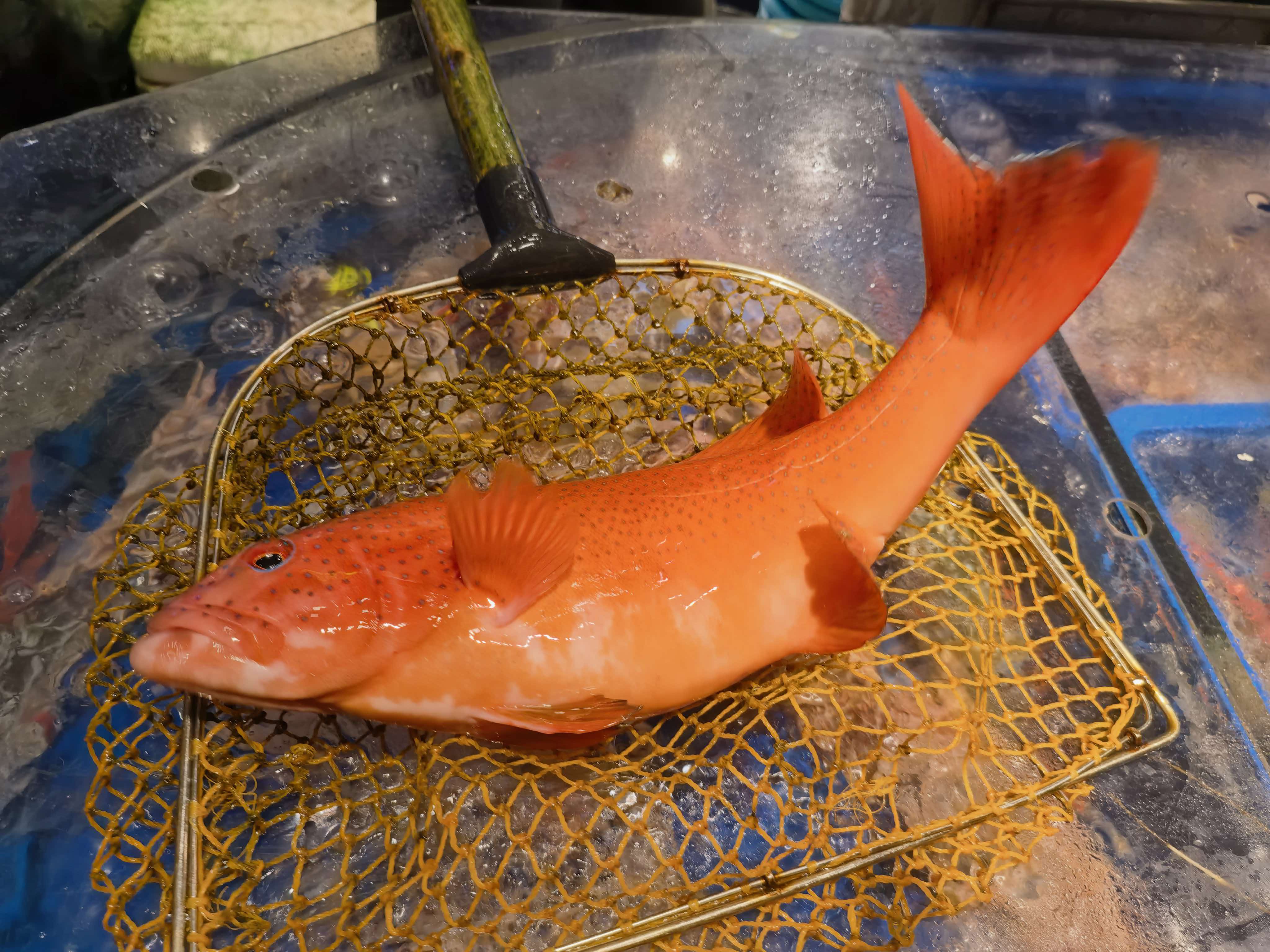 珠海2天尊享遊  食神梁文韜見面會