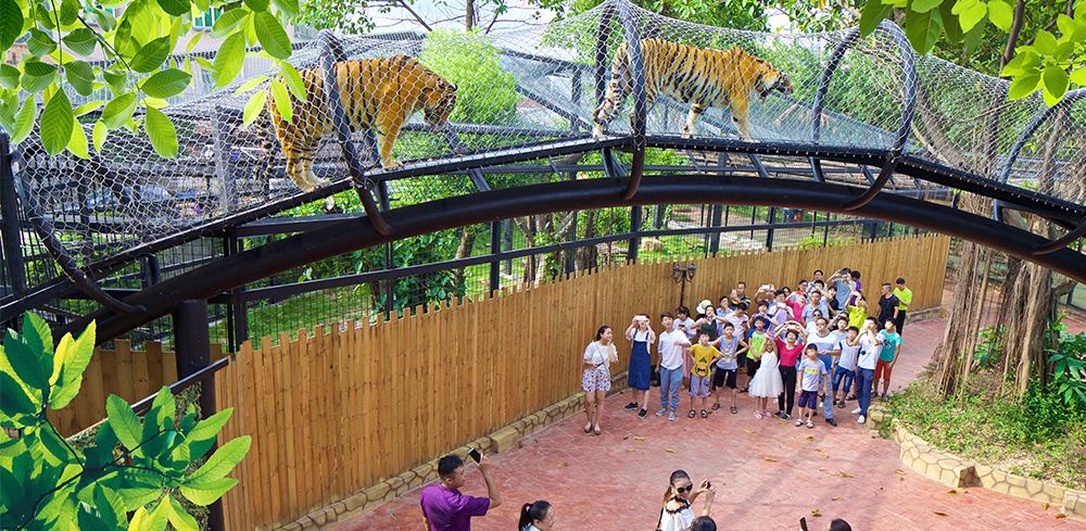 《親子同樂遊-小童免團費》國家4A景區【隱賢山莊】重本包《親親動物園+海獅表演》廣東首個大型實景海戰特效秀《林則徐1839》沉浸式幻彩“蝶影”水舞燈光煙花SHOW純玩2天