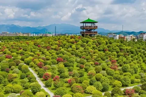 【春節加班】五星標準【雙月灣泰麗雲頂度假酒店】 + 惠州5星標準澳寶集團旗下『千花洲度假酒店』 豪歎2晚酒店《春節豐富海鮮自助晚餐》 暢遊【千花洲生態旅遊區】 純玩3天團