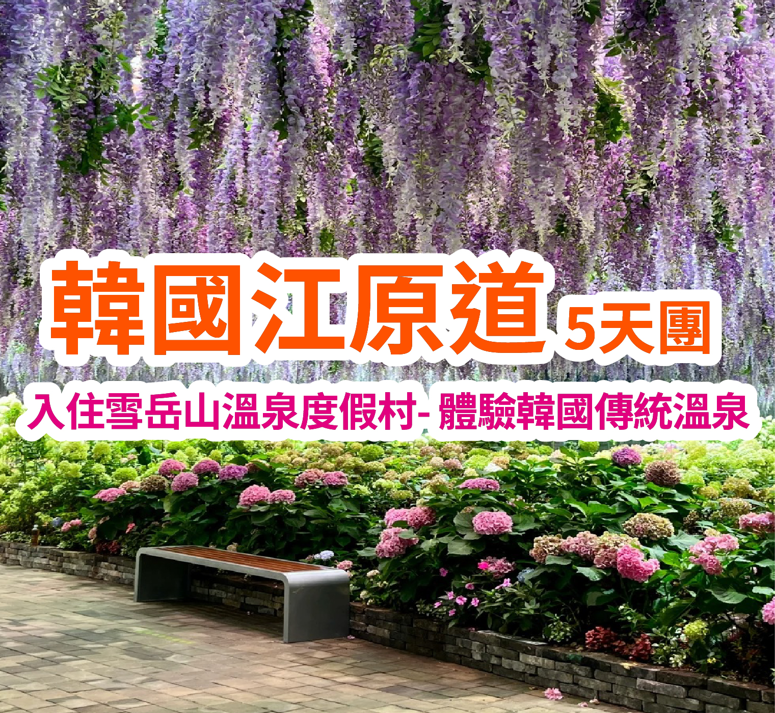 入住雪岳山溫泉度假村 體驗韓國傳統溫泉 韓國江原道5天團