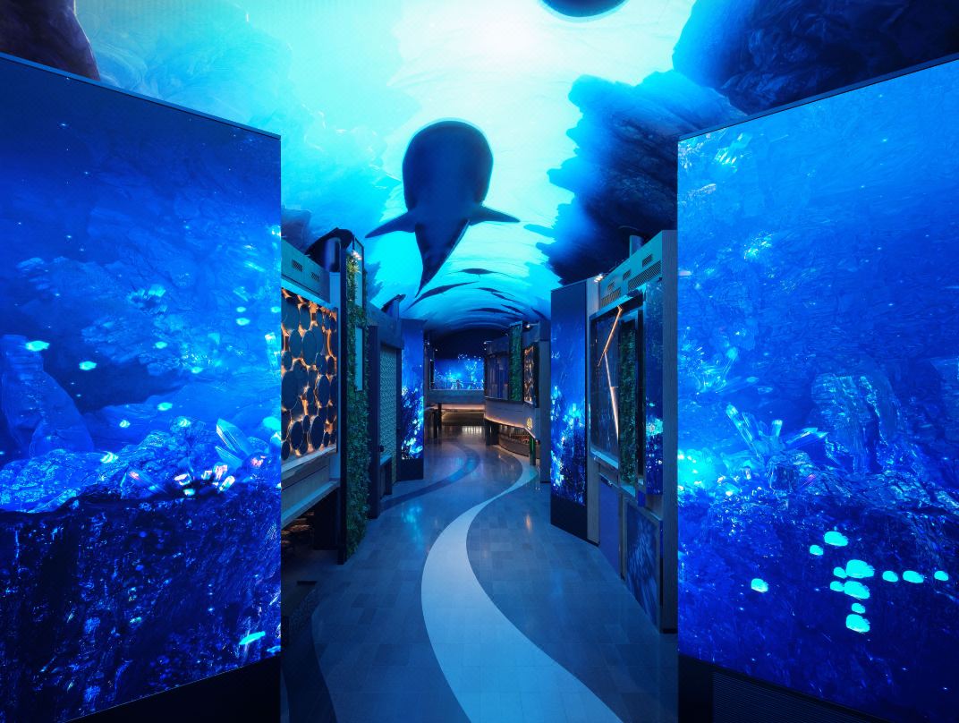 韓國滑雪 3天團