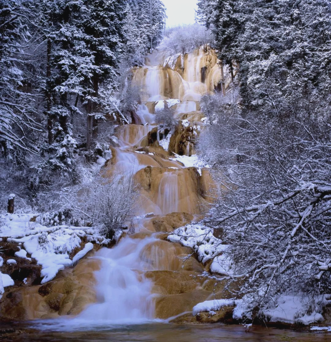 【冬雪九寨溝】牟尼溝/都江堰熊貓樂園/寬窄巷子 國際五星享受 香港直航抵玩6天團