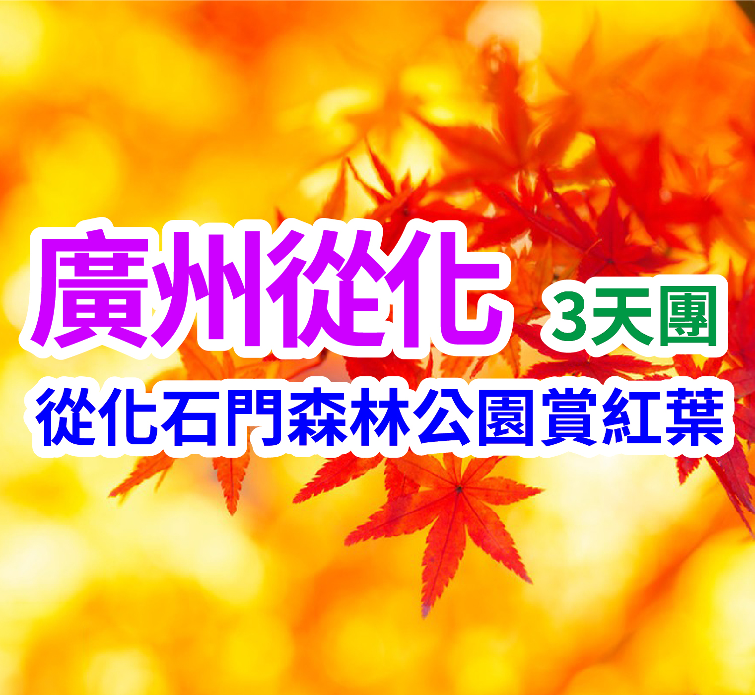 從化石門森林公園賞紅葉，壹泉灣溫泉酒店三天團