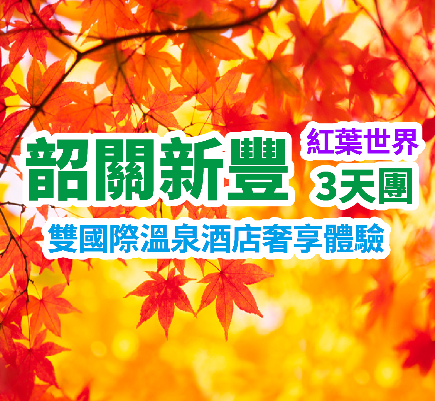 新豐紅葉世界看雲海紅楓，打卡網紅天空之鏡，雙國際溫泉酒店奢享體驗，豪華自助晚餐三天團
