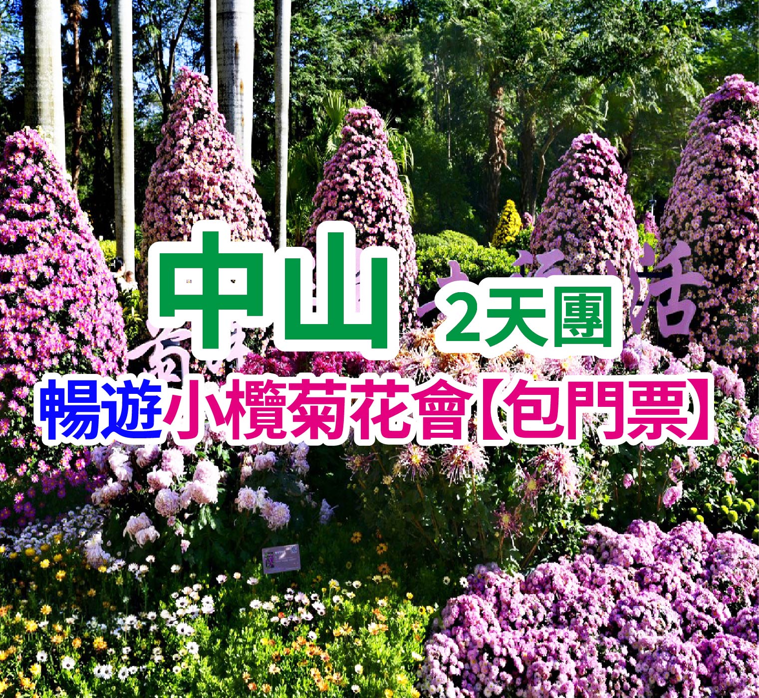 金秋菊展，圭峰賞紅葉，黑珍珠金獎香茅鴿皇宴美食2天團