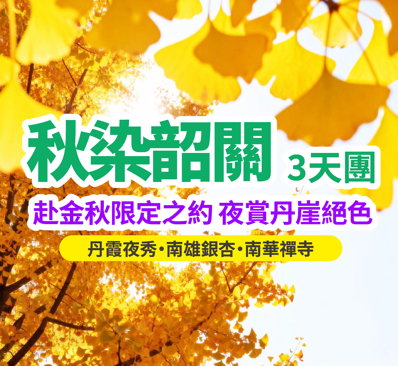 赴韶關金色之約：賞銀杏、觀丹霞光影秀、禮佛千年祖庭，兩晚國際品牌華美達酒店舒享三天團