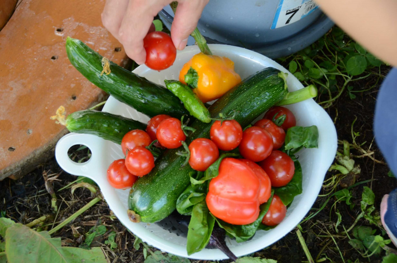 【全港獨家】逃離喧囂·療愈之旅【龍門泰極·Great Thai湯泉度假酒店】（保證入住風鈴語墅（私家泡池房）2天團