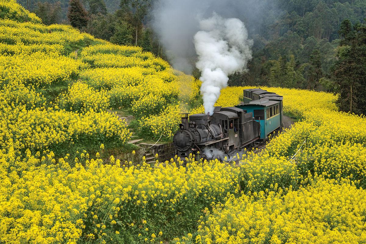 四川【四姑娘山】金川萬畝梨花/龍泉山桃花//畢棚溝杜鵑花/犍為油菜花田/貓鼻樑觀景臺/甲居藏寨/雙橋溝景區/灌縣古城【熊貓樂園】【樂山大佛】香港直航純玩8天團