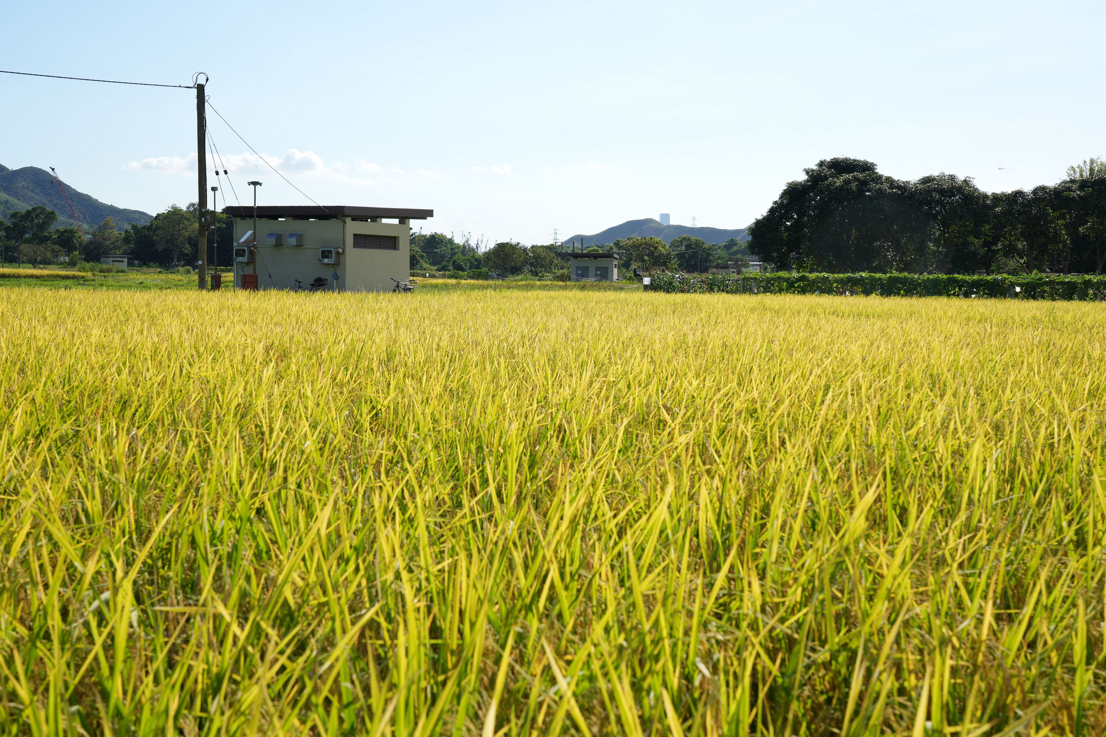 塱原自然生態公園馬灣1868一日游