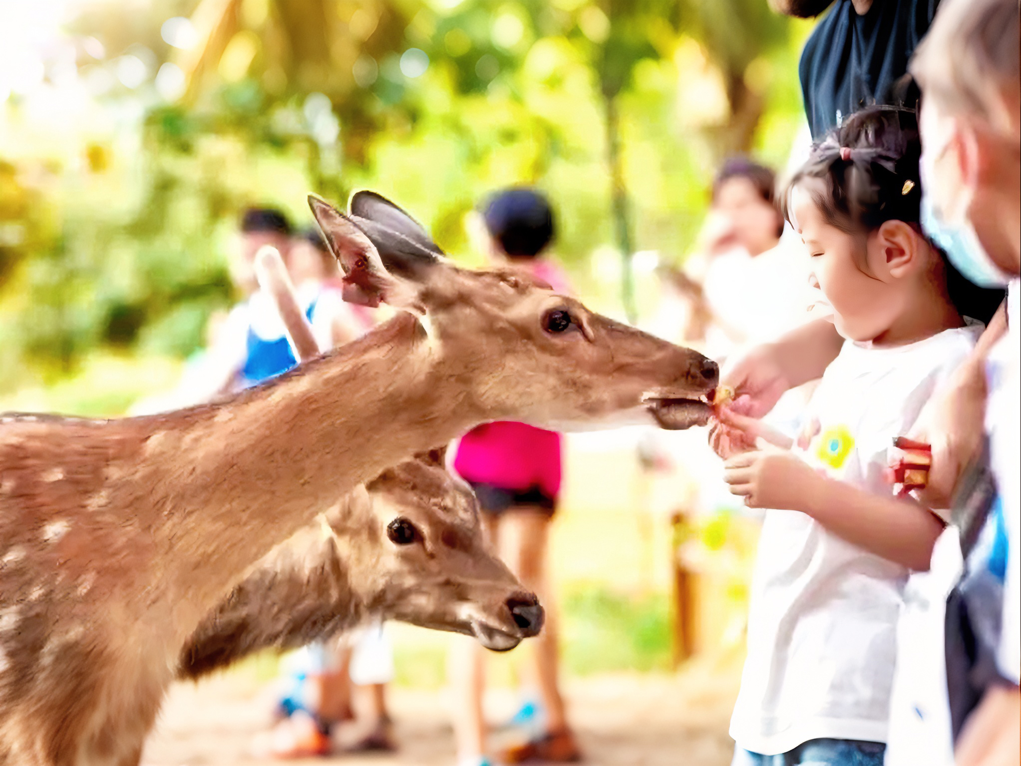 連住兩晚【瑤族文化大酒店】享受特色養身中国第一瑤藥泉、瑤寨洞穴歌舞表演、地道美食 體驗模擬熱氣球、手工淘金純玩3天團