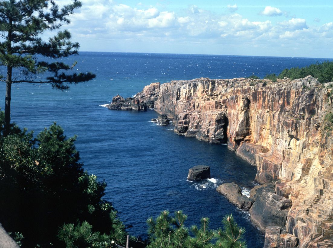 品味一期一會粉紅櫻花浪漫 日本大阪5天團