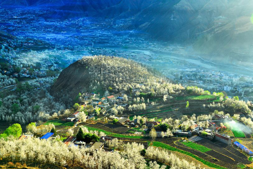 僅辦三團三月梨花時令限定金川梨花節-峨眉山樂山-成都純玩7天團