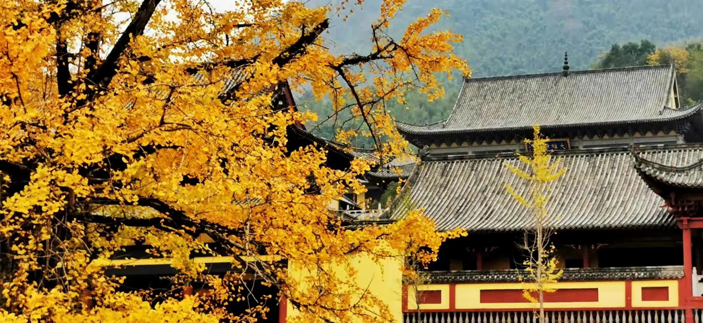 溫湯之旅探秘明月山感受富硒溫湯古鎮4天團