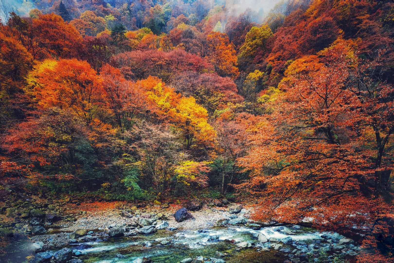 四川光霧山+劍門關5天團