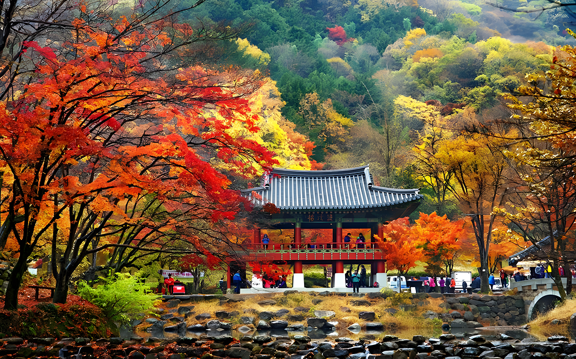 韓國內藏山賞楓3天團