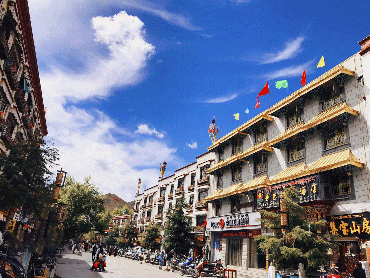 香港重慶直航往返 西藏段林芝入拉薩出 不走回頭路 重慶西藏10天團