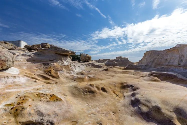 品味一期一會粉紅櫻花浪漫 日本大阪5天團