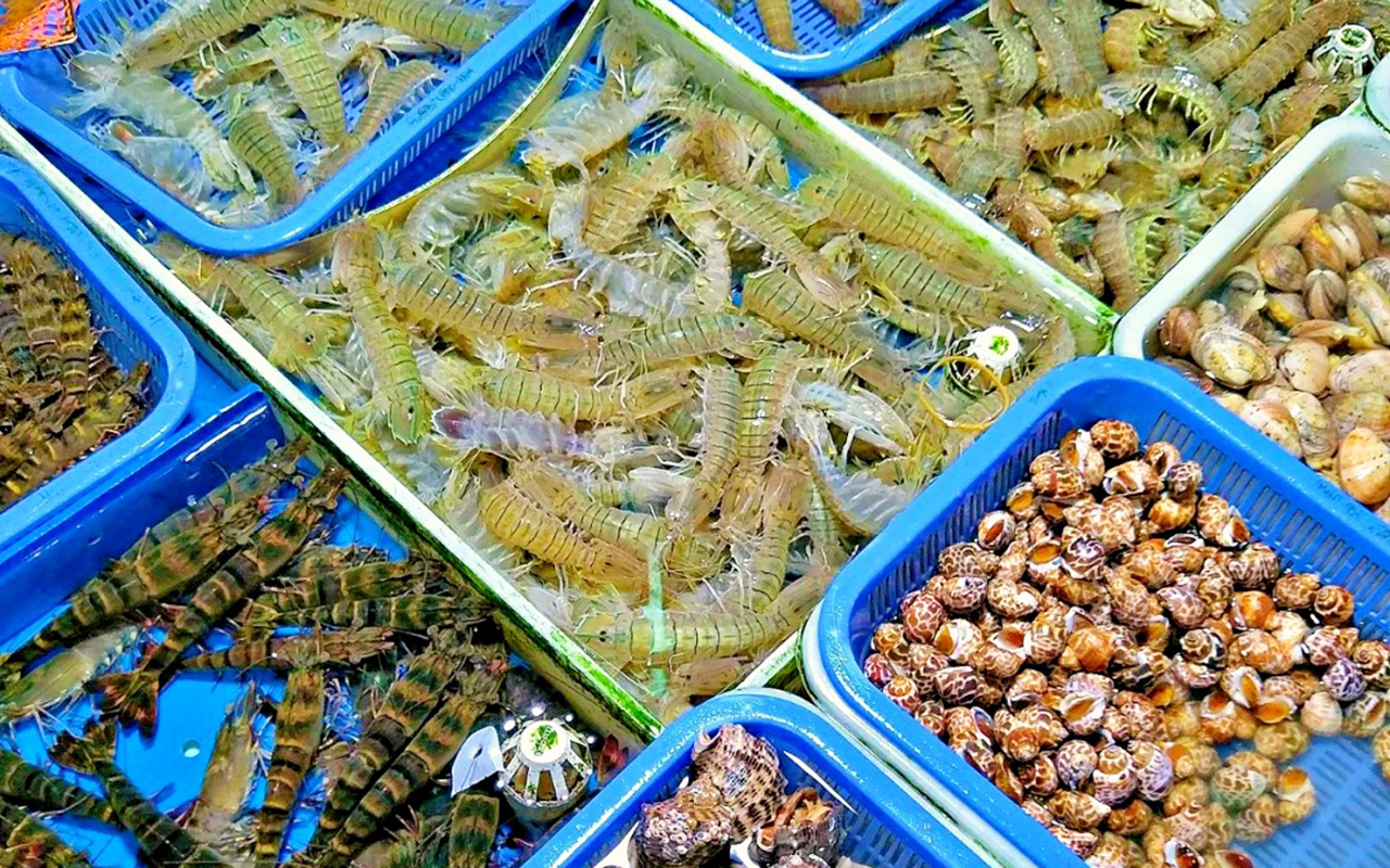 雙倍體驗、尊享兩晚5星酒店清遠獅子湖喜來登度假酒店+順德喜來登酒店 3天團