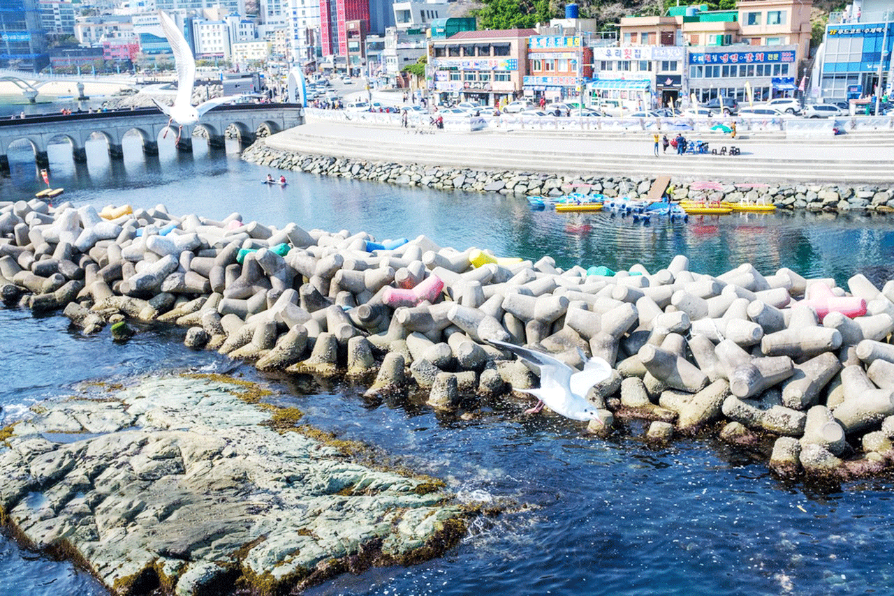 徜徉山海之城 沉醉釜山之夜 韓國釜山濟州島5天團