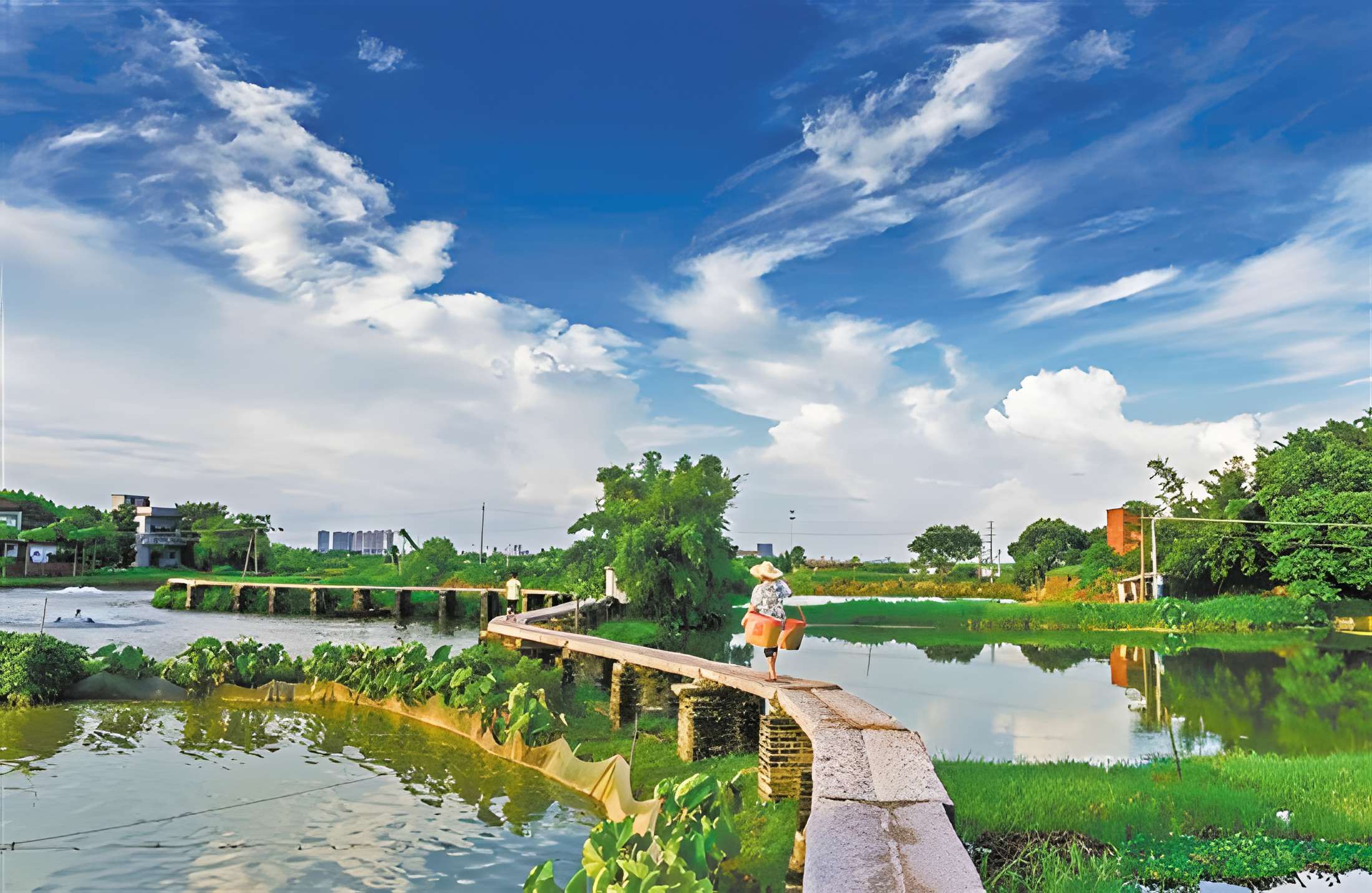 【春節加班】古道馬戰 篝火晚會 觀賞春節煙花 領略各式新春互動活動感受地道春節氣氛+舒適入住『新會碧桂園鳳凰酒店』豪歎酒店【新春豐富海鮮自助晚餐】純玩4天團