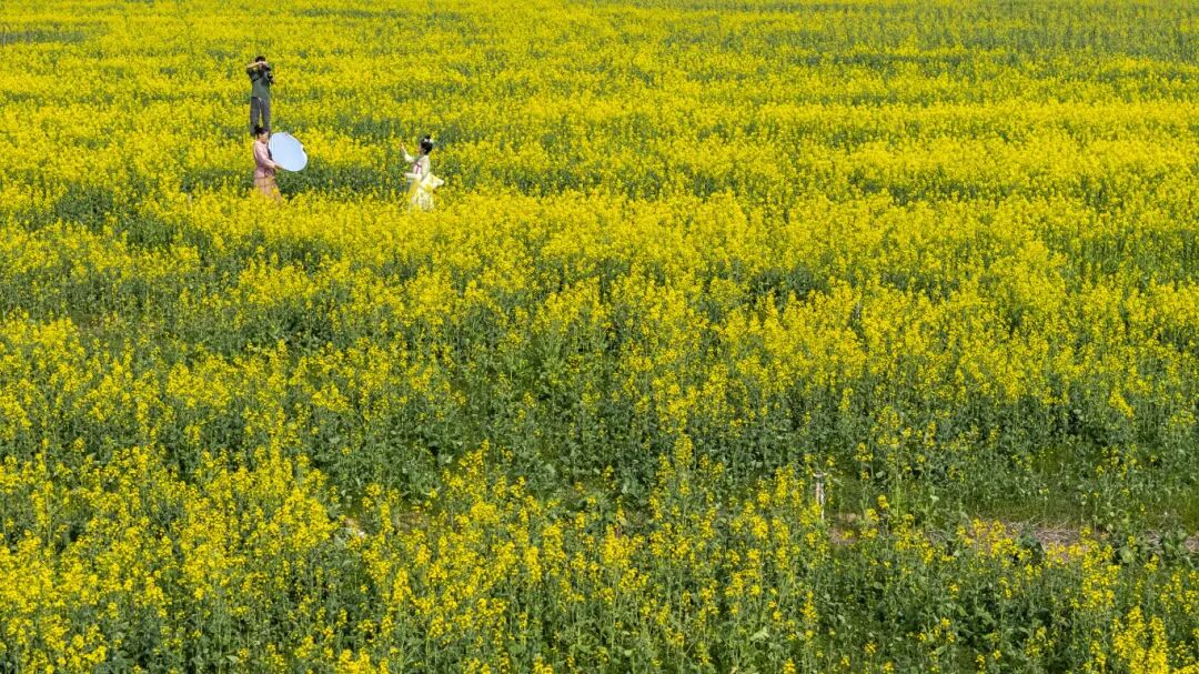 穿古通今尋春江南豪華遊華東雙古鎮溫泉之旅6天團