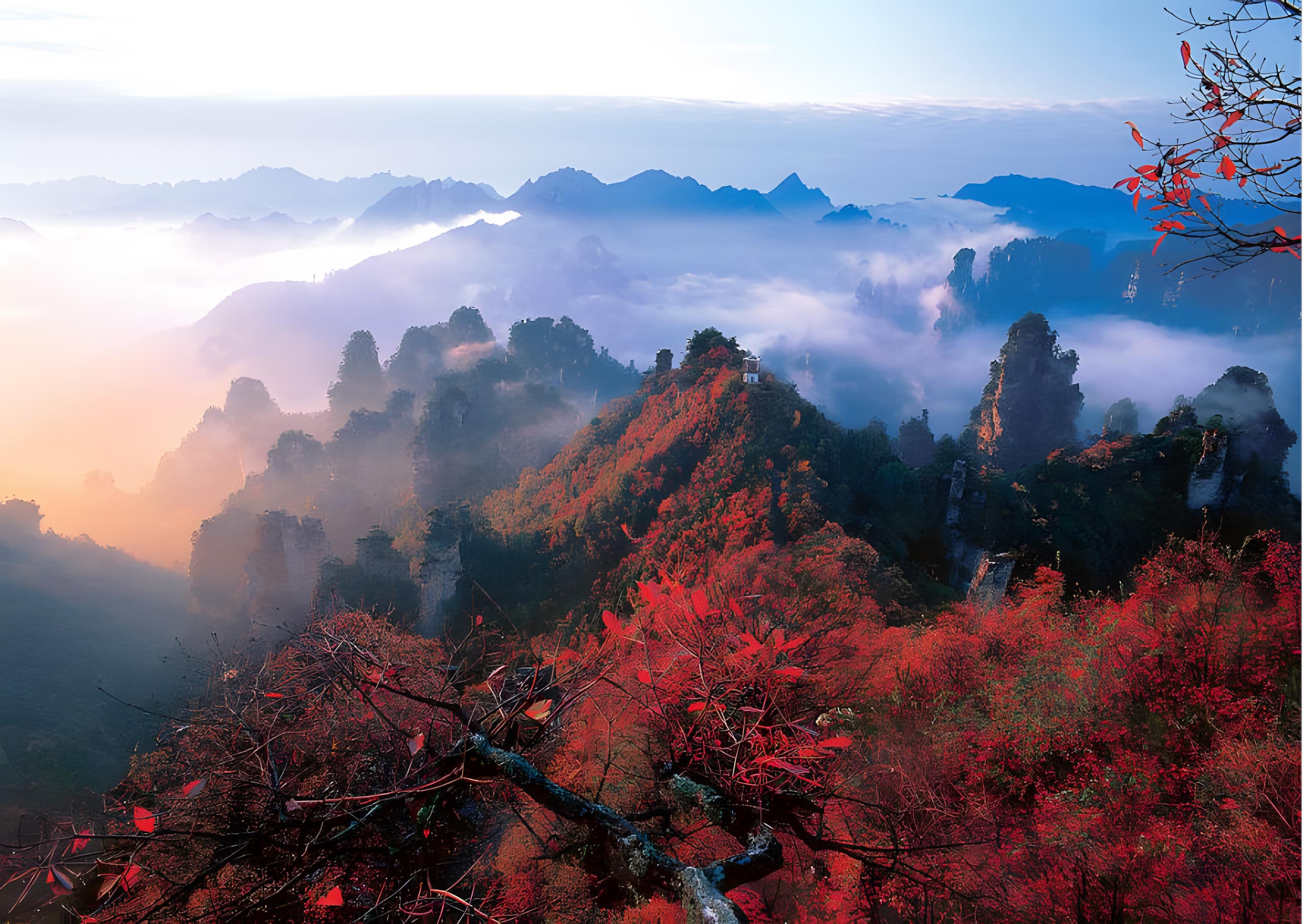 天工開畫卷 大地雕刻的雲中傳奇 張家界6天團