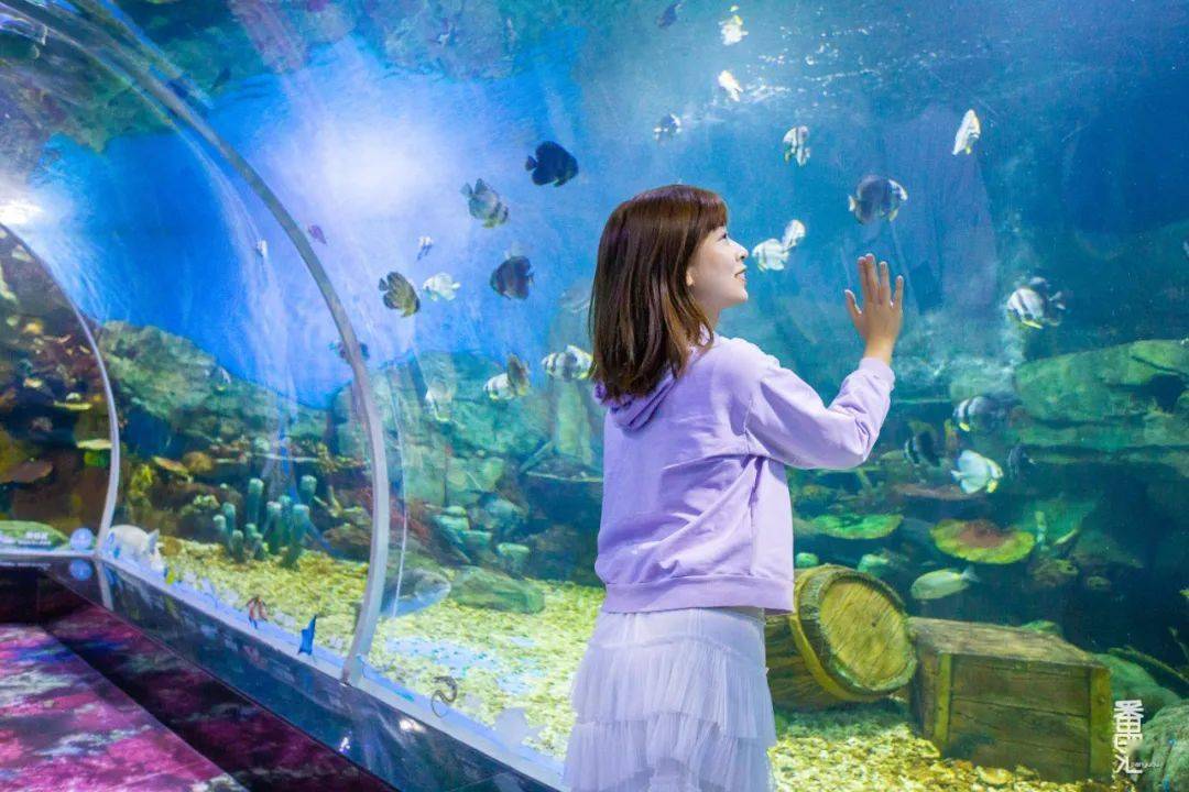 【兩大送1小】暢玩4大主題樂園【奇幻水族館】【長鹿旅遊休博園】【冰雪世界】【全亞洲最大的史努比主題樂園】 入住鬧市五星標準【佛山新君悅酒店】 純玩3天團