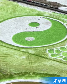 限定花海季 青甘直航純玩8天