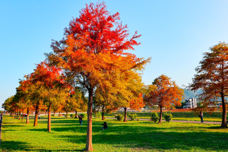 跟著偶像劇 下一站,台北! 台北4天團