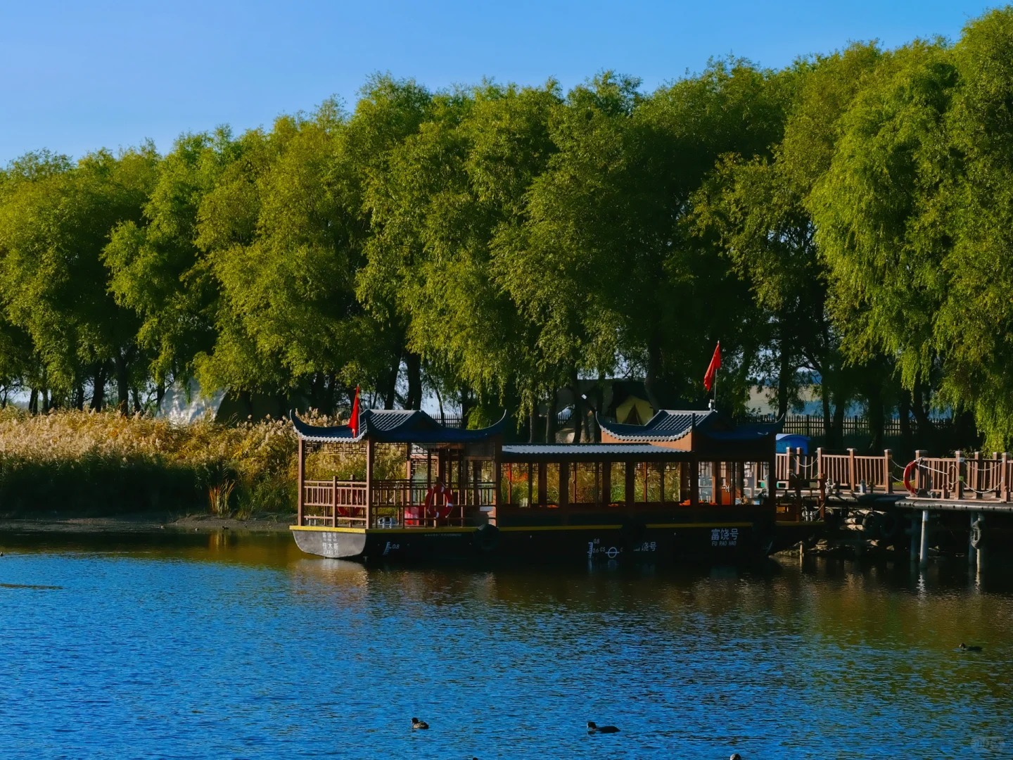 打卡東方夏威夷興凱湖珍寶島遊船 哈爾濱8天團