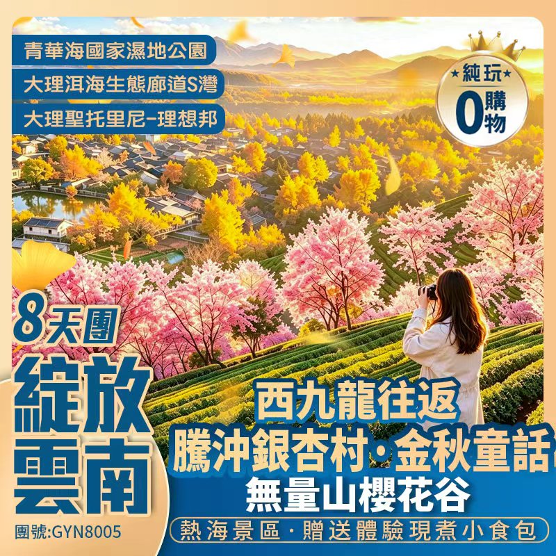 雲南<騰沖銀杏+大理櫻花·西九龍高鐵往返>聖托里尼網紅下午茶/升級3晚國際品牌酒店/銀杏村旅拍  純玩8天團
