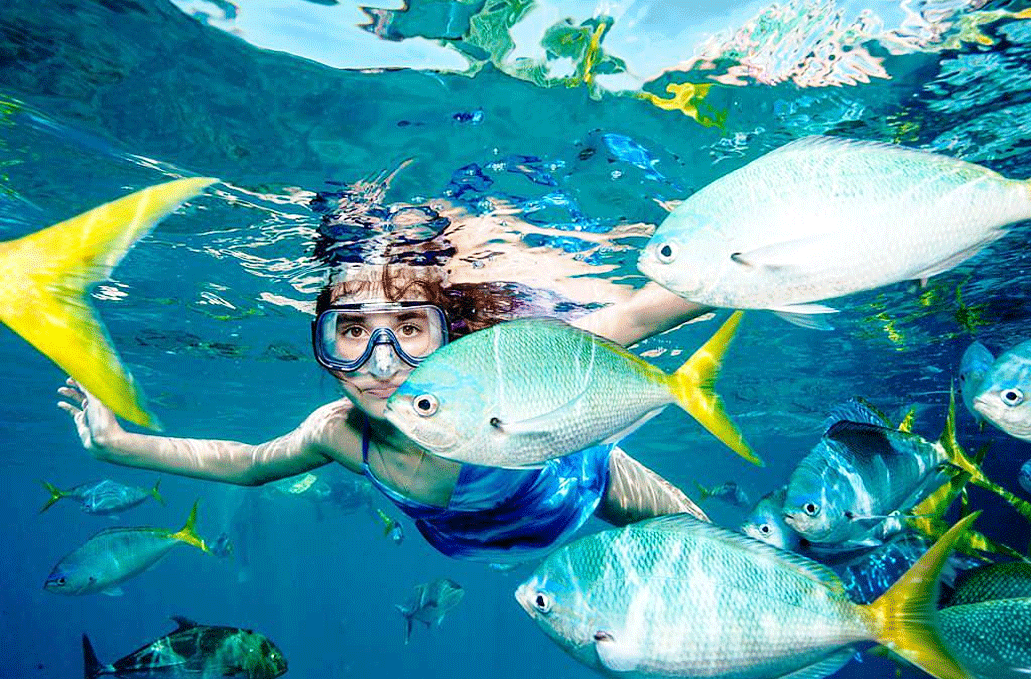 藝術與自然 雙重驚喜 印尼峇里島5天團