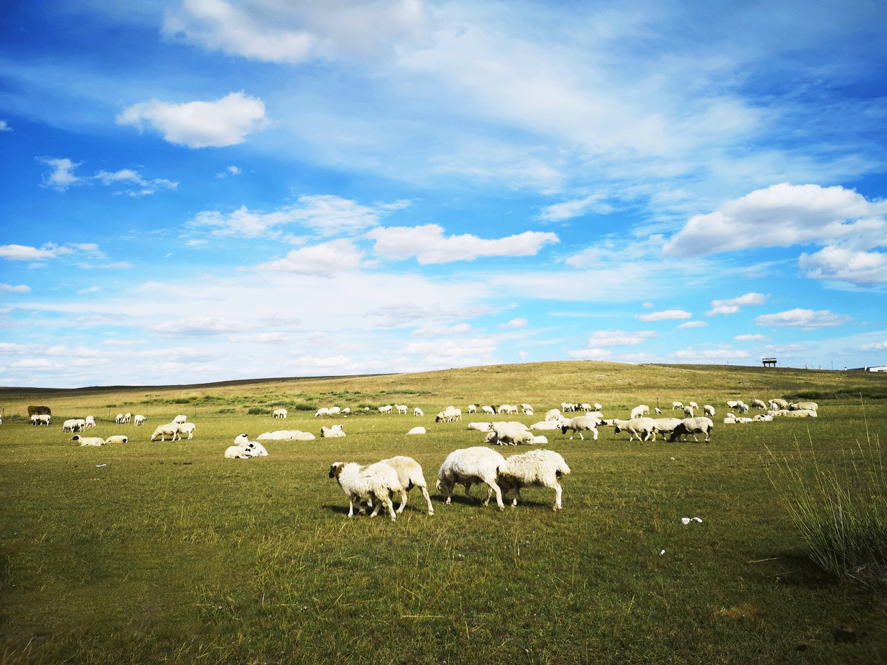 烏蘭察布火山群 見證萬年寂靜的星空與火焰 呼和浩特超值6天團