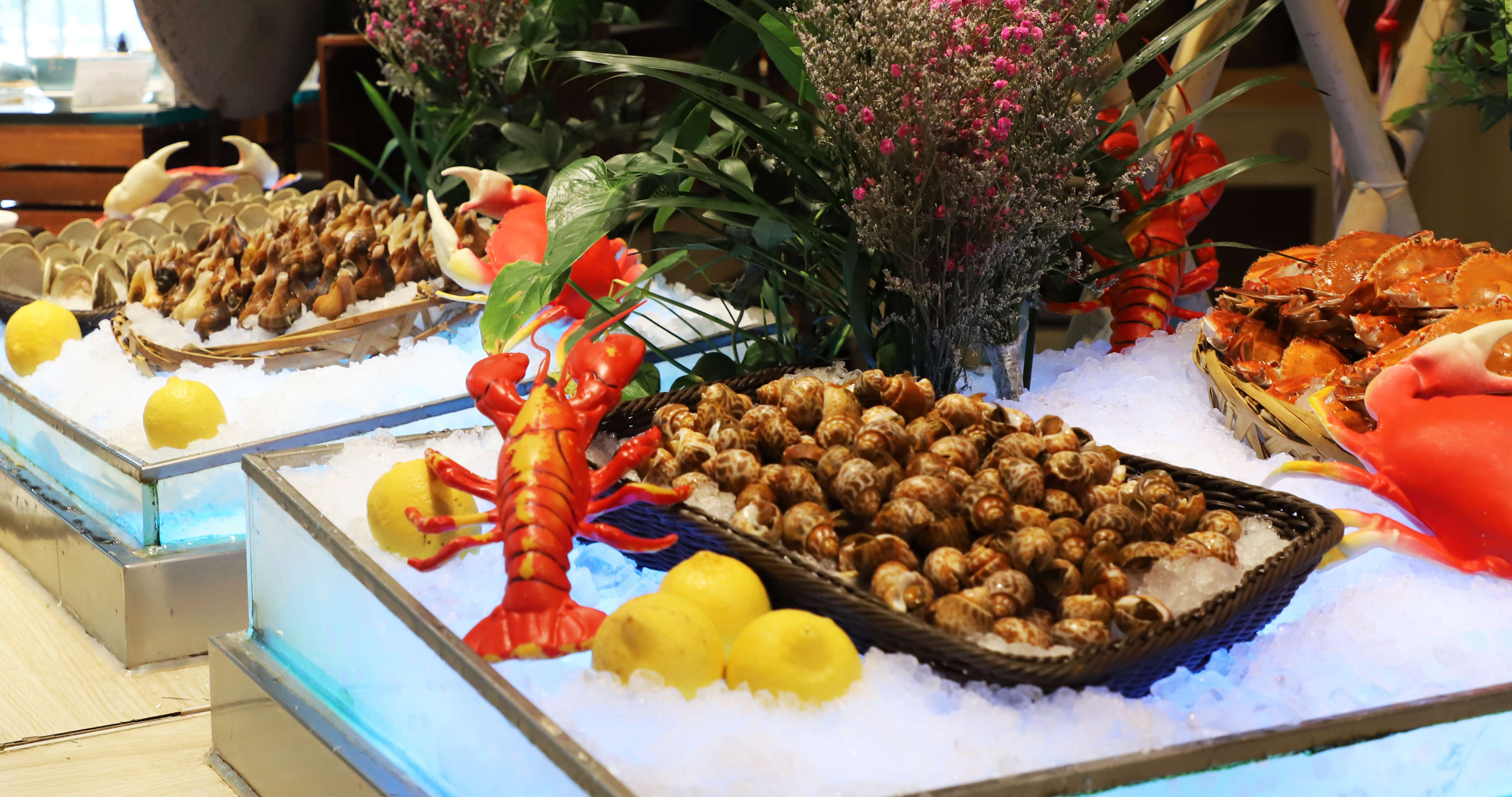 【春節加班】入住五星級【東莞松山湖帝豪花園酒店】豪歎【酒店豪華海鮮自助晚餐】 暢遊【融創樂園】【奇幻秘境·融創大馬戲】【廣州動物園】純玩3天團