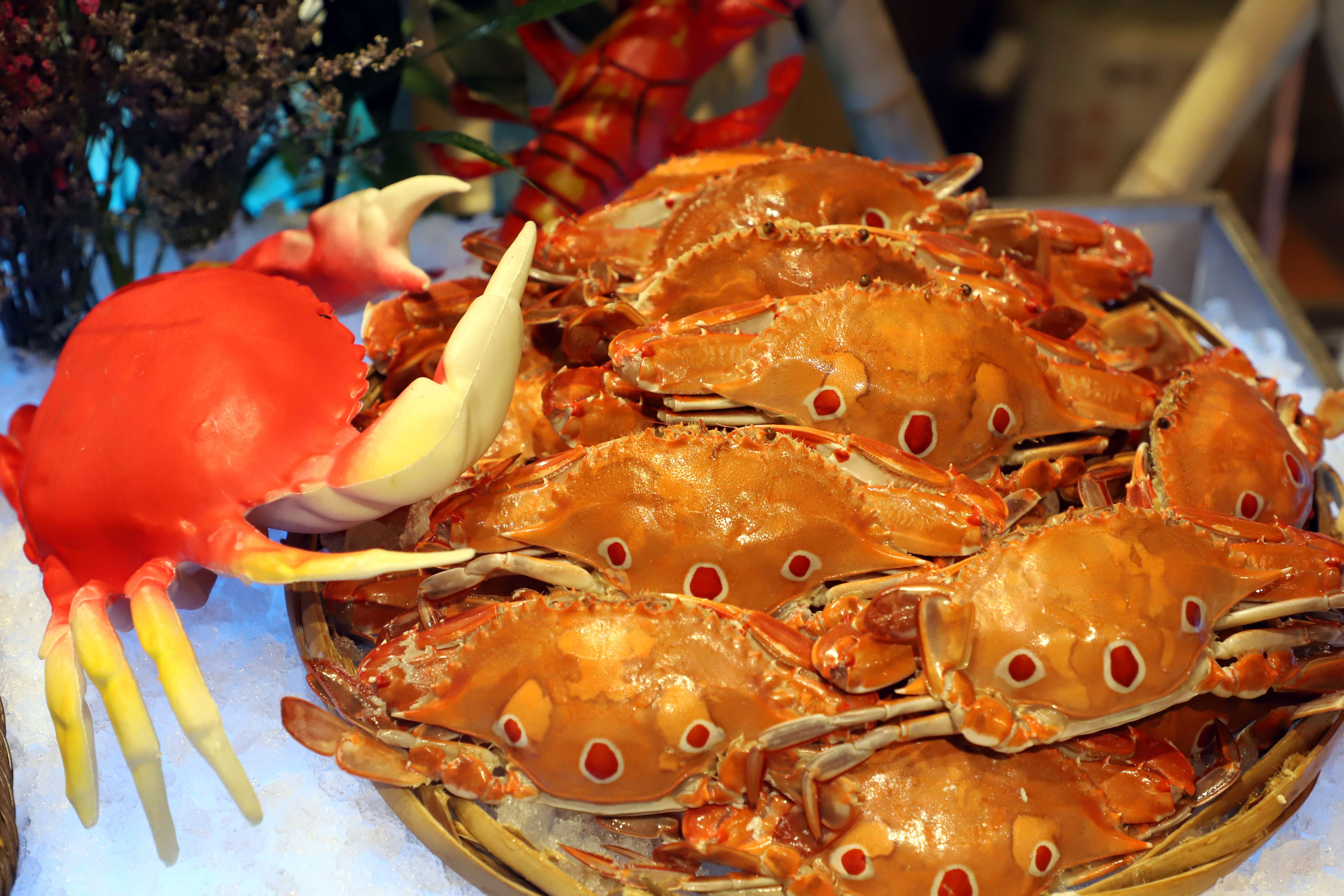 【春節加班】入住五星級【東莞松山湖帝豪花園酒店】豪歎【酒店豪華海鮮自助晚餐】 暢遊【融創樂園】【奇幻秘境·融創大馬戲】【廣州動物園】純玩3天團