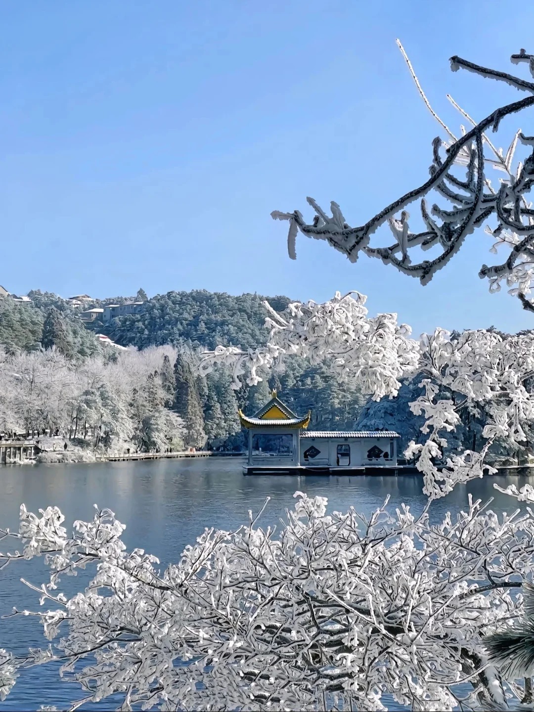 南國廬山賞雪天花板 5天團