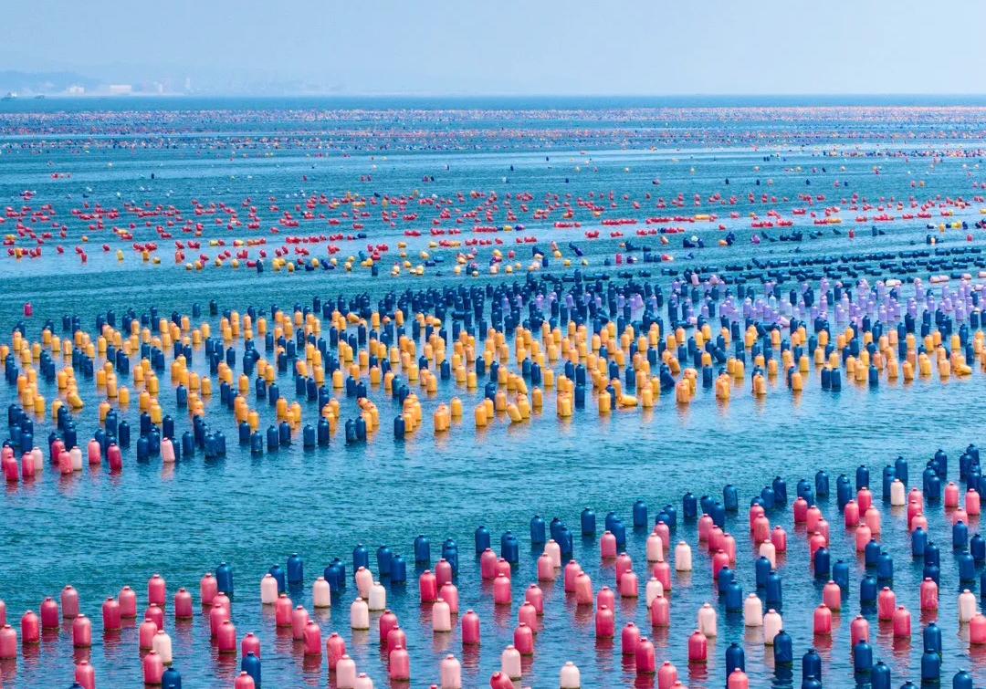 揭陽南澳潮州巴士3天團