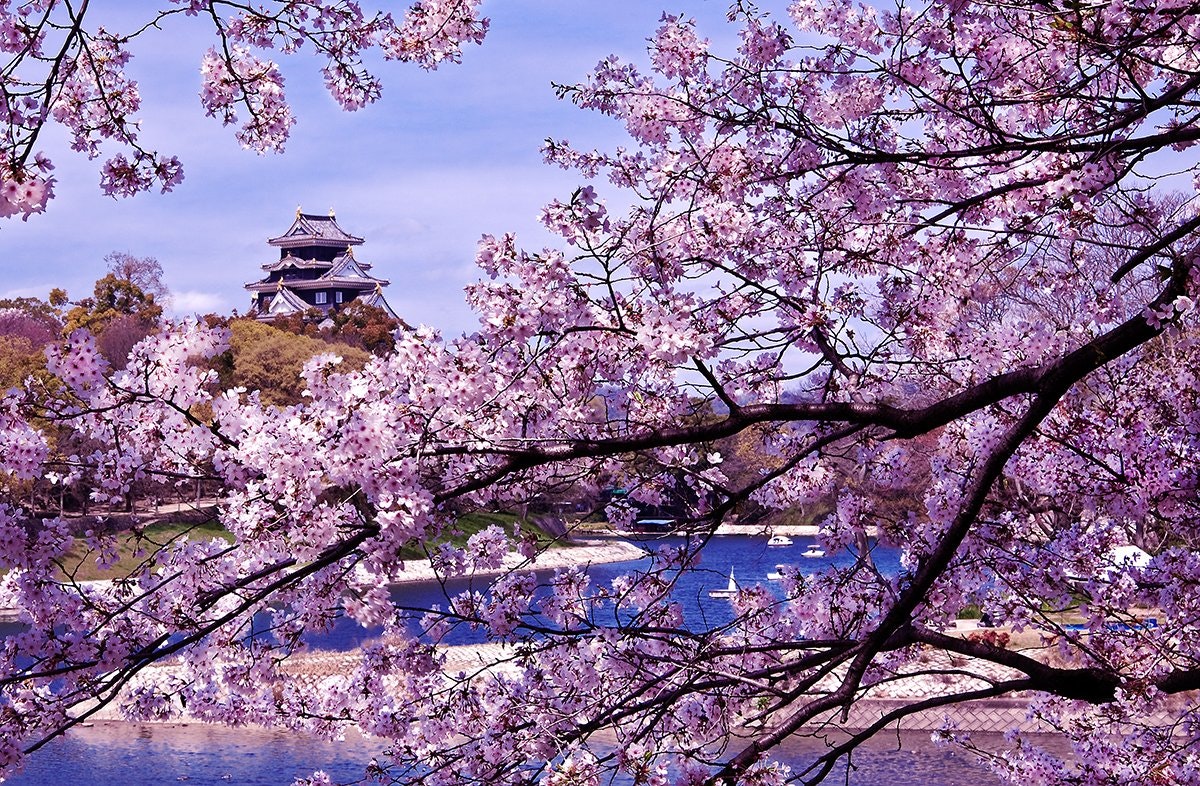 品味江戶時代的迴遊式庭園美學 關西6天團