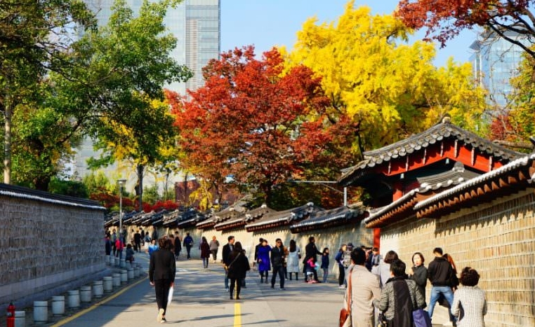 春日花見首爾 體驗藝術長廊「極光道」首爾3天團