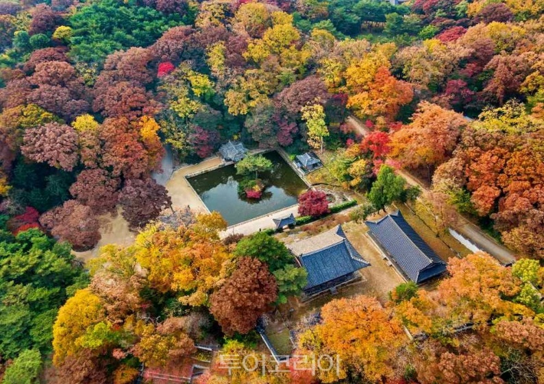 江風起 楓葉紅 邂逅最美的深秋 首爾金秋5天團